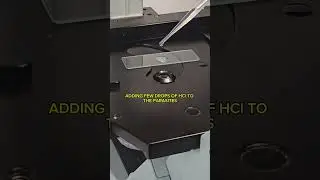 Stomach Acid vs Parasites #science #microscope #experiment