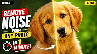 Remove Noise from Any Photo in 1 Minute | Affinity Designer Denoise Tutorial