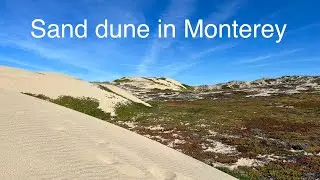 Marina Beach and Sand Dune, Monterey CA 2/19/2023