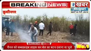 अचानक लगी आग में लगभग दो एकड़ गन्ना साफ