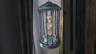 Gemmy Skelly