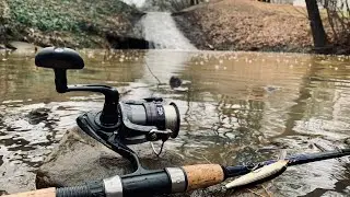 🔥SECRET CREEK FISHING 🔥