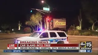 Car slams into tree in Ahwatukee