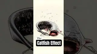 L'effet poisson-chat