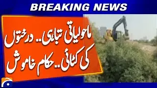 Precious Mangrove Forests Destroyed in Broad Daylight &mdash; No Action Taken | Breaking News