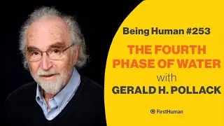 #253 THE FOURTH PHASE OF WATER - GERALD H. POLLACK | Being Human
