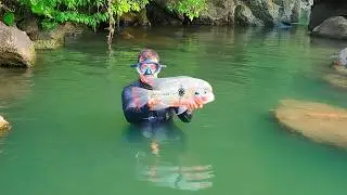 Pesca y cocina de mojarras y tilapias con arpón en una hermosa zona rocosa