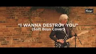 Robyn Hitchcock - &ldquo;I Wanna Destroy You&rdquo; (The Soft Boys Cover)