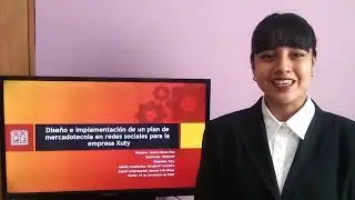 Presentación ejecutiva- Estadía profesional. UVEG