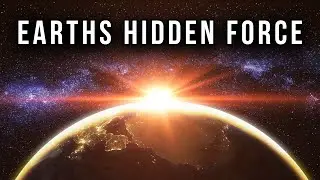 How Earth's Magnetic Field Guides Strange Animal Behavior