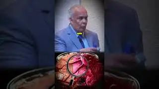🧪⚠️ UM AMBIENTE &Aacute;CIDO PRODUZ UM TERRENO TUMORAL!