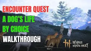 Encounter Quest - A Dog’s Life by Choice Walkthrough | Where Winds Meet