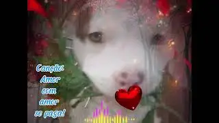 Amor com amor se paga !