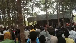 Apostolic song Faarsa Saafayii :   seexana/  sharmuxuu /Lafa/Caatii/sigaaraa jalaa Dide!!