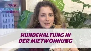 Hundehaltung in der Mietwohnung &ndash; Das musst du wissen, bevor du dir einen Hund anschaffst!
