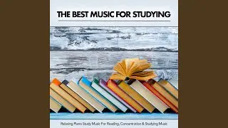 Studying Music - Calm Music