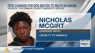 Tabor City man charged after video surfaces online of dog being beaten