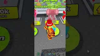 OMG, I just got an elephant strawberrry elephant in Don't Wake the Brainrots