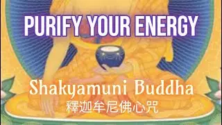 Shakyamuni Buddha Mantra ♫ Jody Yeh 釋迦摩尼佛心咒  purify your energy & transcend your mind (Handpan drum)
