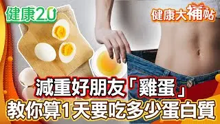 減重吃蛋增飽足感！營養師教你算1天該吃多少蛋白質！國宴主廚的3種煮蛋妙招！【#健康大補帖】健康2.0 #鄭凱云 #陳欣湄  #韋汝