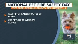 National Pet Fire Safety Day