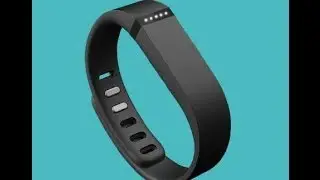 Fitbit Flex Review