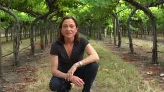 ASH - Appellation Saint Helena