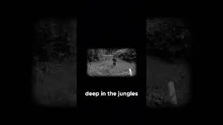 Journey Into the Remote Jungles of New Guinea (Korowai Tribe)