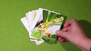 Bach Flower Spirit Cards for Inner Clarity