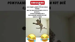 😂😂 #юмор #шуточное #мем #смех #прикол #смешнойшортс #смехпродлеваетжизнь #sports #memes