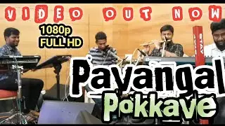 Pavangal Pokkave Song |🔥🔥🔥💯💯🎵🎵 Edwin Prabhu | Jotham | Jacobs Keys | F