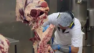 Taylored Foods, Quality Control