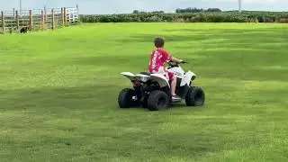 2017 KAWASAKI KFX50 For Sale