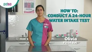 How To Conduct A 24-Hour Water Intake Test: PDSA Petwise Pet Health Hub