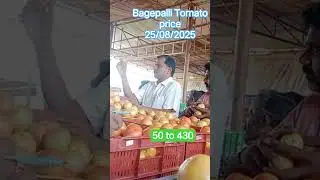 August 25, 2025 Bagepalli Tomato price #tomato #market #price