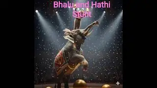Bhalu and Hathi stunt: behind the scenes of a daring animal performance and safety