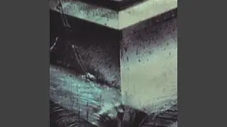 Sewer Birth