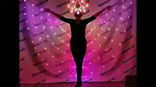 Пиксельные двухсторонние крылья на органзе +фигурная корона/ LED pixel wings 2-sides and curly crown