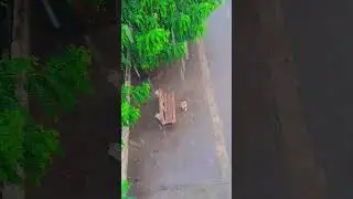 😘🥰So Cute Bacchi Choti Bacchi Ho Kya 🥰🥰🥰😘#trending #like #shortvideo #shorts