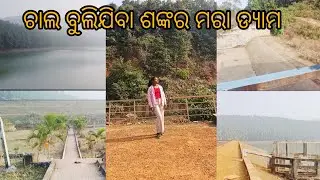 ଚାଲ ବୁଲିଯିବା ଶଙ୍କର ମରା ଡ୍ୟାମ 🥰 Day 5@SantaliJhioSeemaVlogs 