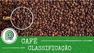 Saiba como é feita a classificação do café