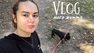 VLOG / кухонні будні / рецепт тірамісу / знайшли кішечку 