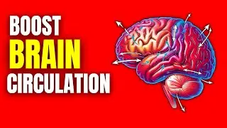 6 Best Foods to Boost Blood Circulation to Your Brain