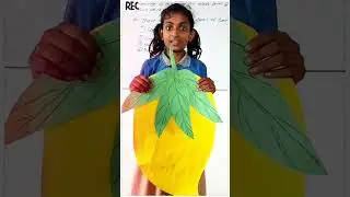 Roleplay Activity 🌺 #roleplay #activity #shorts #fruits #mango