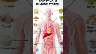 Natural Antibiotics #BestFoods  #HealthyFoods #ViralShorts #shortfeed #viralvideos
