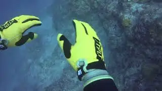 20260112 1st 大崎ハナゴイリーフ