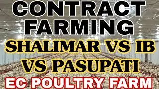 Shalimar Odisha EC Poultry Farm GC Policy || IB vs Pasupati vs Shalimar Poultry Farming GC Policy