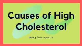Causes of High Cholesterol | About HighCholesterol