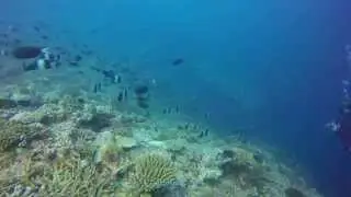 4k conrad maldives nov 2014 diving, luxemiles.com