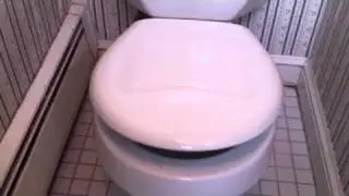 Toilet seat that doesn't slam